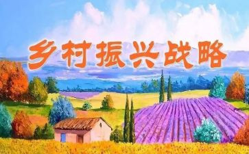 乡村振兴年终个人总结5篇