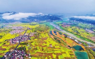 村乡村振兴情况调查报告7篇