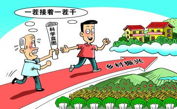 乡村政乡村振兴心得体会模板7篇