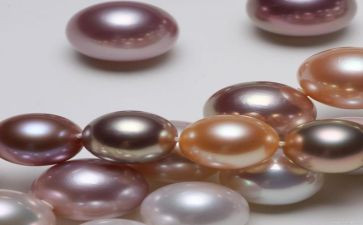 珍珠鸟作文模板8篇