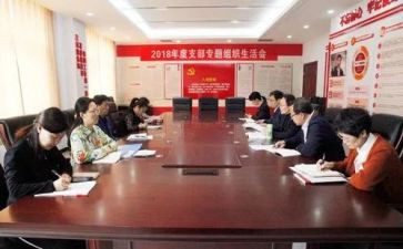 党支部及个人总结5篇