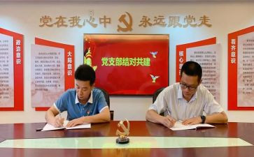 支部月工作计划推荐6篇