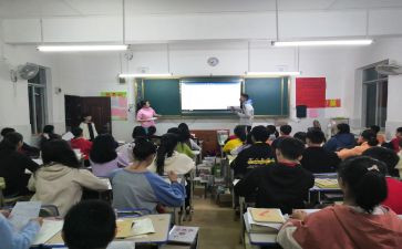 指导师工作计划7篇