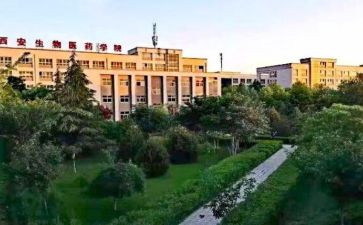职高上学期个人总结7篇