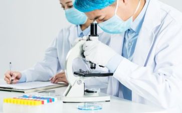 抓质量工作总结参考6篇