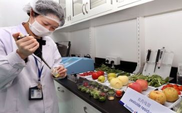 质量的工作计划模板7篇