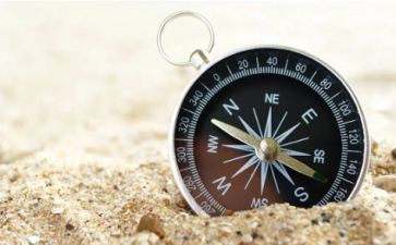 幼师学指南心得体会5篇