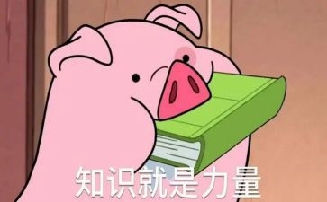 知识版权宣传活动总结5篇