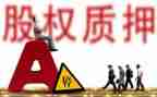 股权质押合同参考8篇