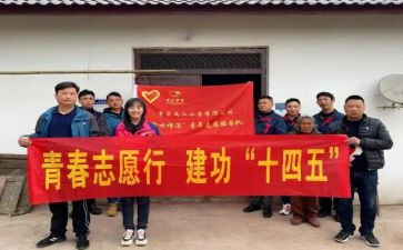 志愿者活动的工作总结8篇