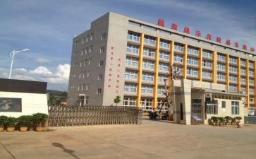 职中学生调查报告5篇