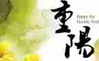 重阳节活动方案5篇