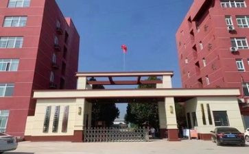 中专述职报告7篇