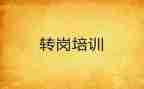转岗培训心得体会7篇