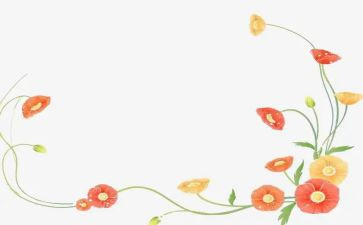 装饰工作总结模板8篇