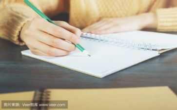助理的述职报告推荐5篇