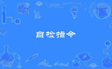 自检工作报告最新5篇