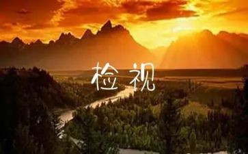 企业室自检自查报告6篇