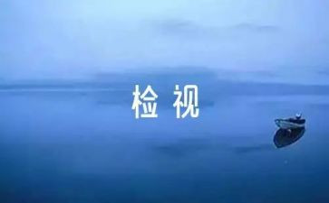 自检工作报告5篇