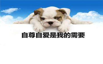 自尊自强演讲稿8篇