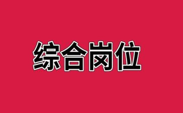 综合岗个人述职报告6篇