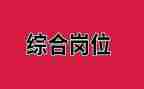 综合岗个人述职报告6篇