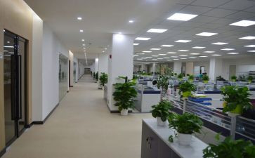 组织室工作计划最新6篇
